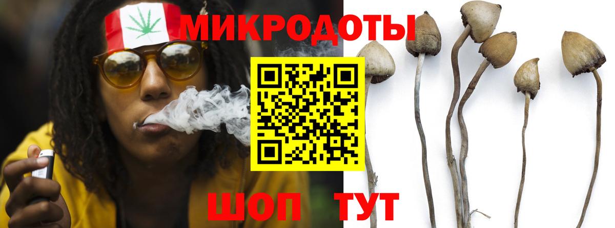Псилоцибиновые грибы MAGIC MUSHROOMS  Вход с VPN  Псилоцибиновые грибы Cubensis  Пенза 